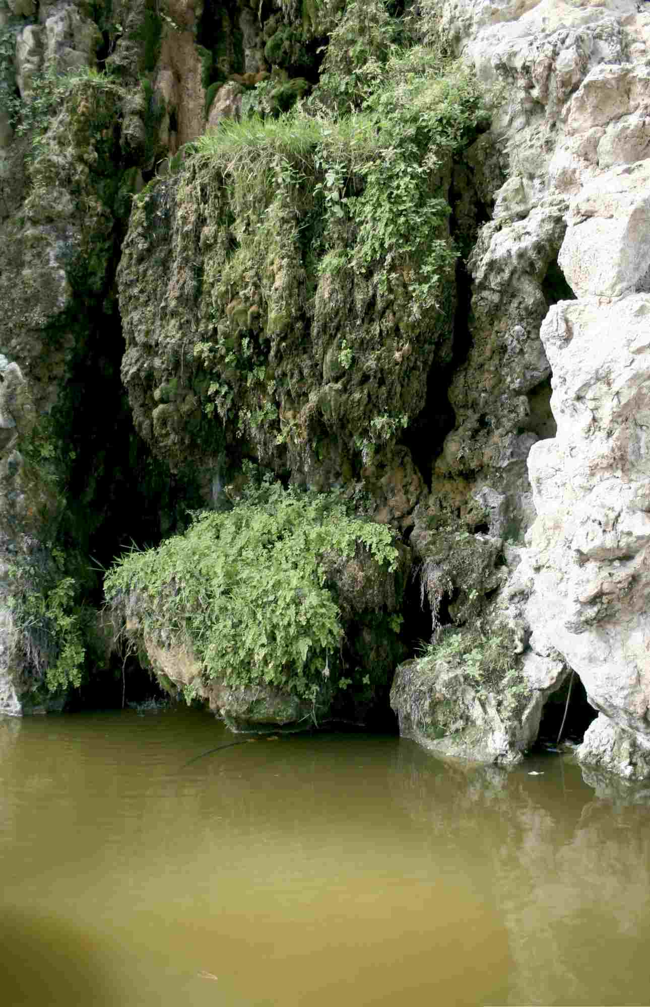 Alternative view of Water Textures - Still Water