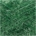 Creative Bubble - Fir Green