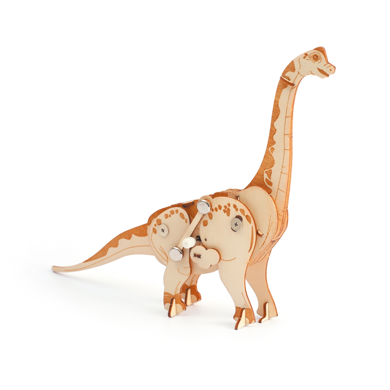 3D Mekaaninen rakennussarja - Diplodocus