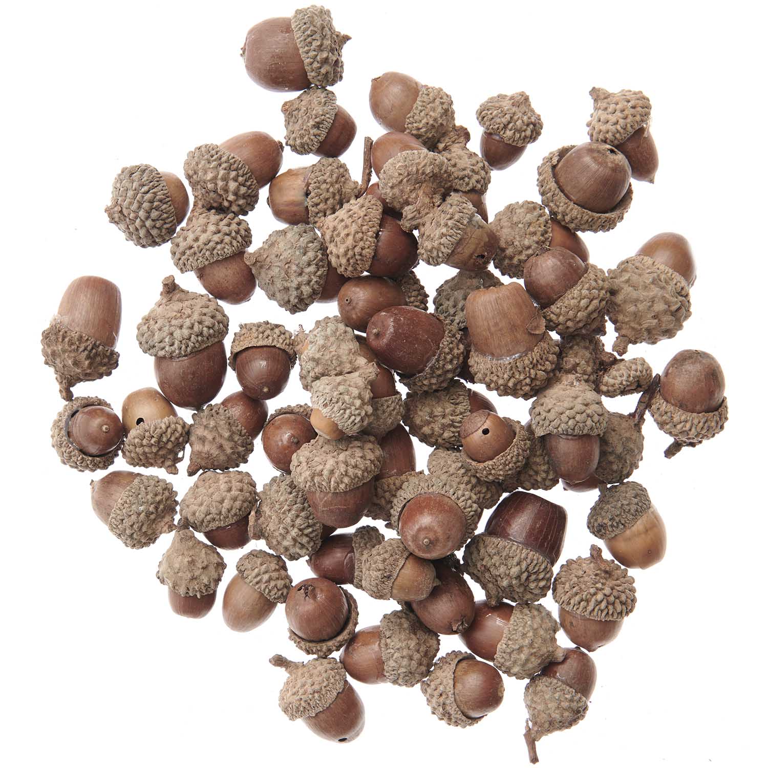 Tammenterhot n.90g