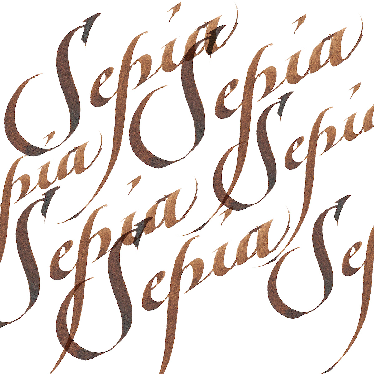 Alternative view of Calligraphy Ink - Sepia