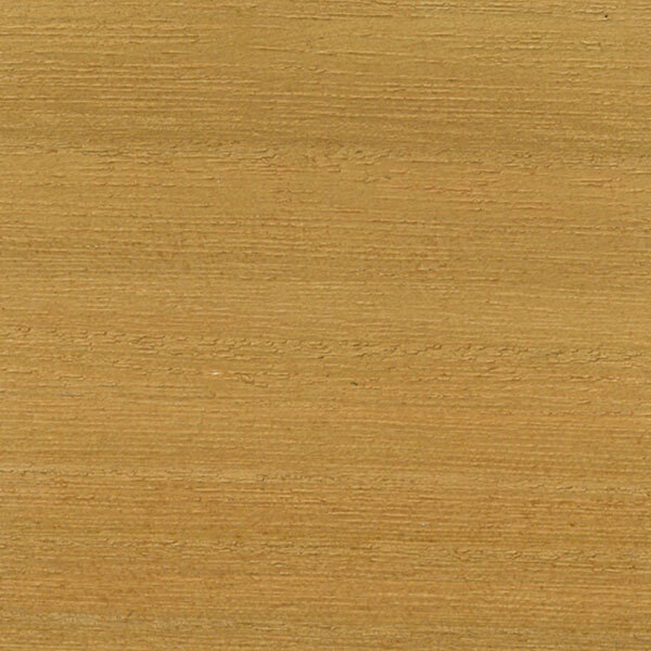 Creartec Petsijauhe - Vanha tammi