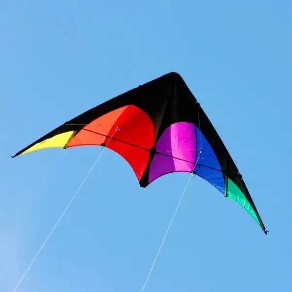 Alternative view of Delta Sport leija