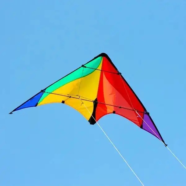 Alternative view of Delta Basic leija