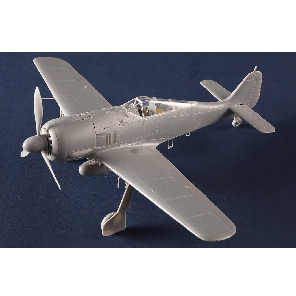 Alternative view of Focke-Wulf Fw-190A-6 1:48