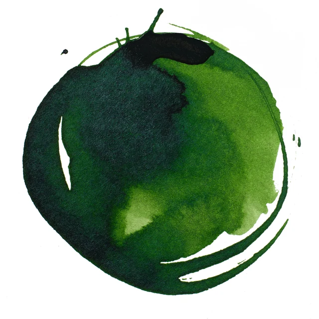Alternative view of Acrylic Ink 30ml - Sap Green Permanent