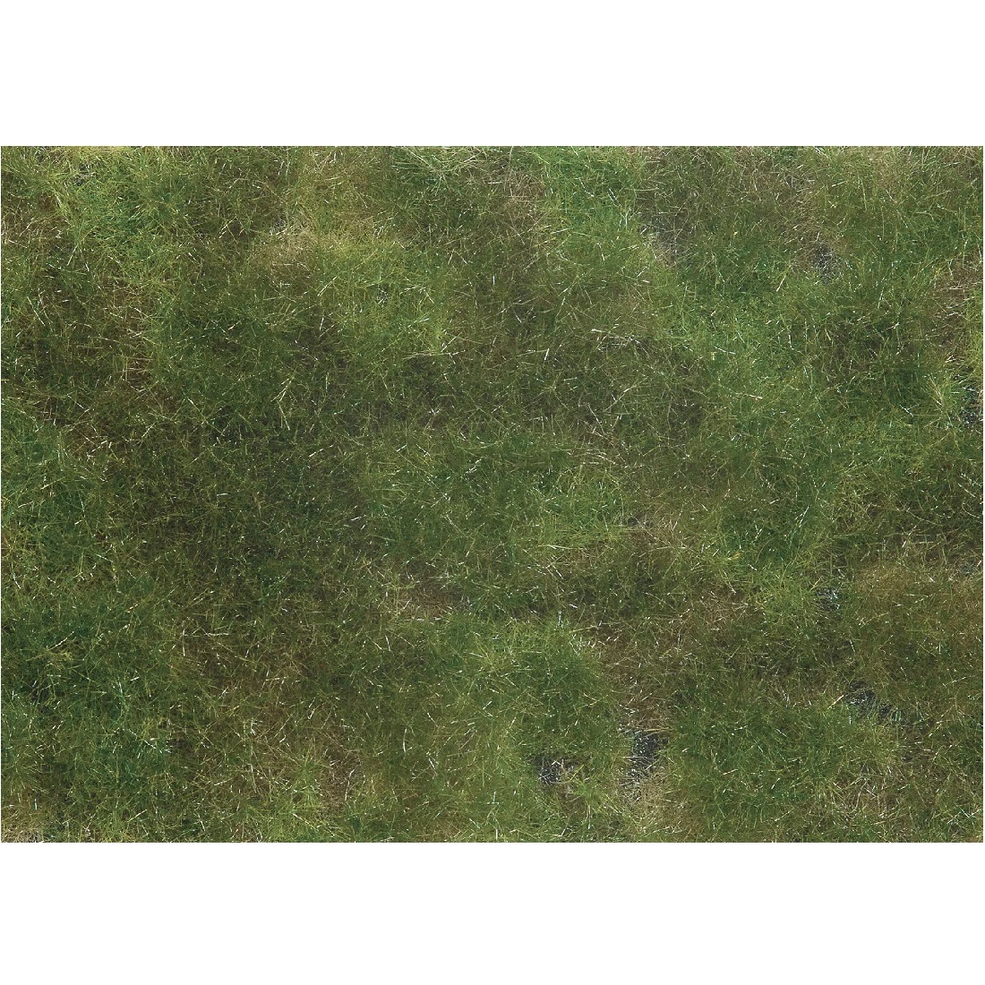 Groundcover Foliage - Olive green