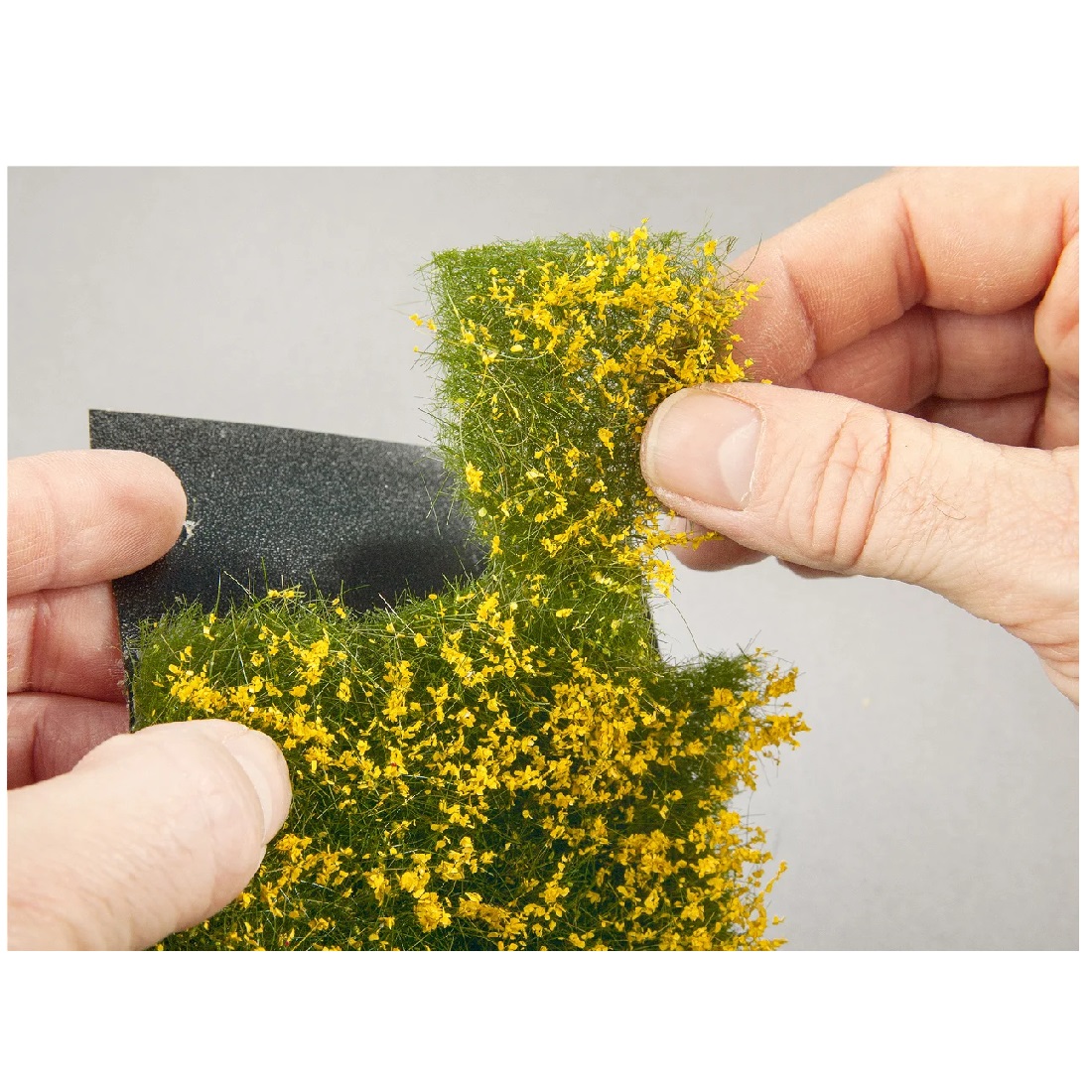 Alternative view of Groundcover Foliage - Meadow White