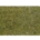 Groundcover Foliage - Green / Brown