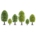 Deciduous Trees H0/TT