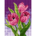 Painettu kanavakangas - Spring Tulips