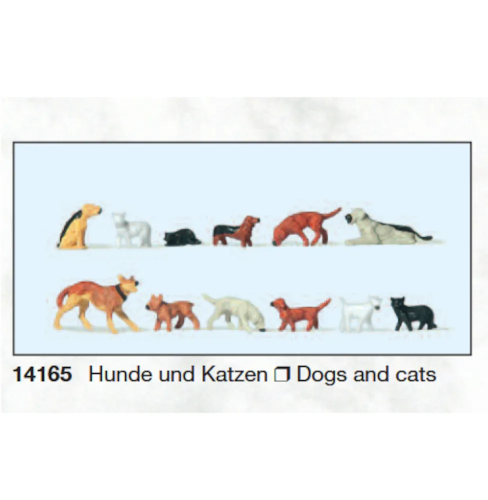 Dogs and Cats