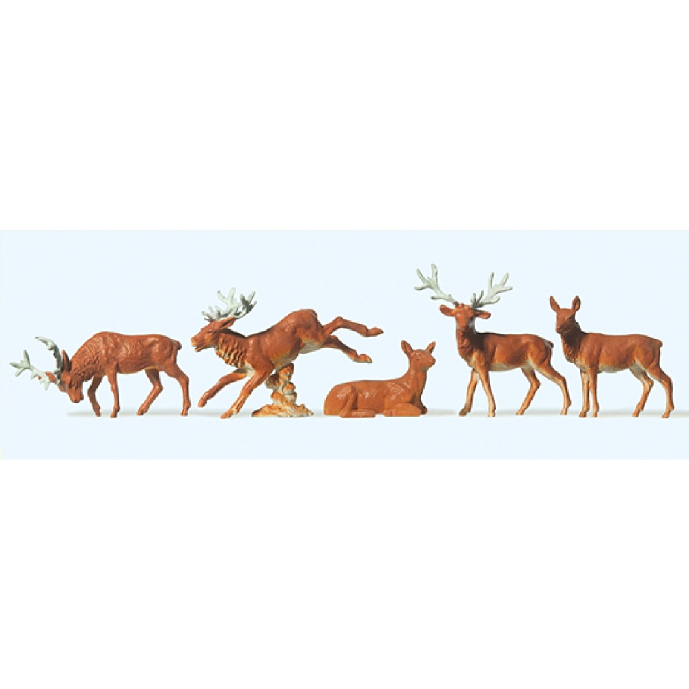 Stags