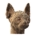 Cartonic 3D Pahviveistos - Sphynx Cat