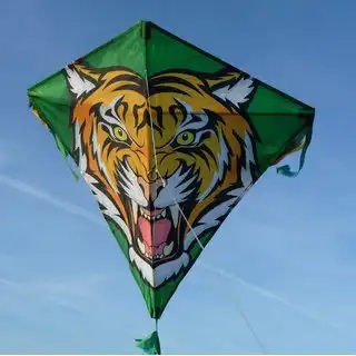 Alternative view of Eddy Tiger-leija
