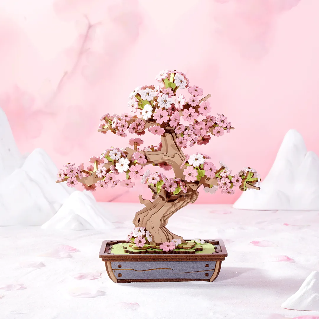 Alternative view of Sakura Bonsai