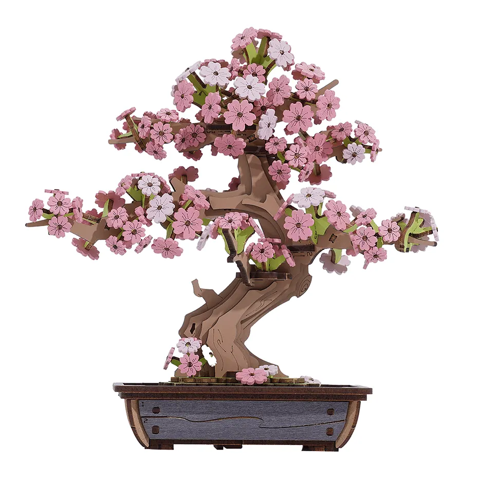 Sakura Bonsai
