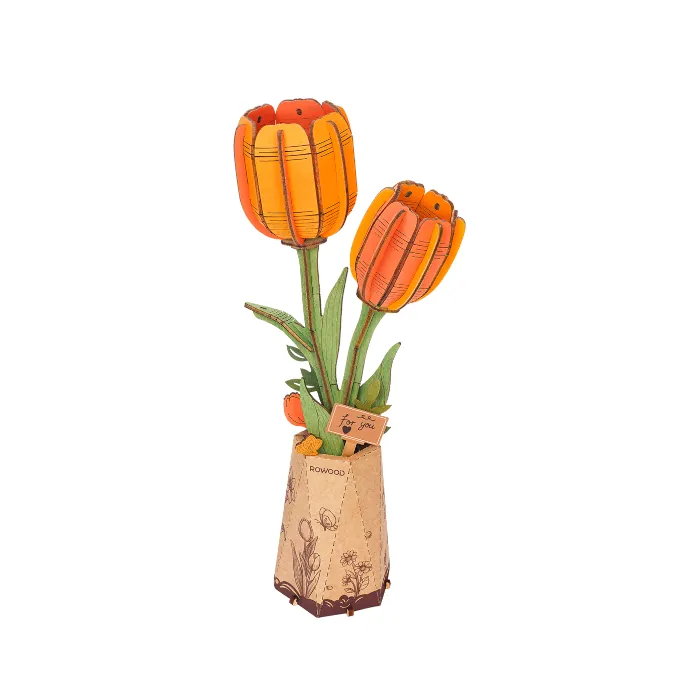 Orange Tulip