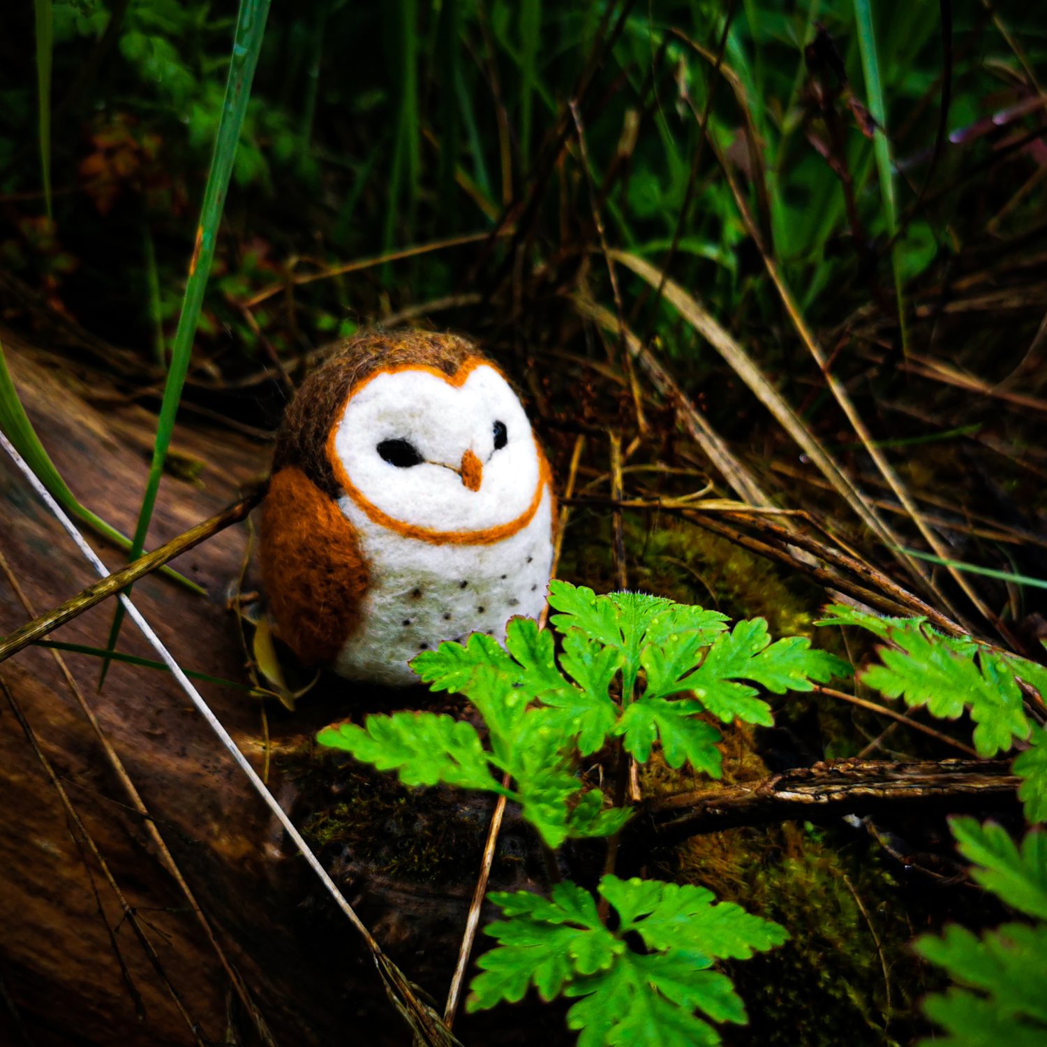 Neulahuovutuspakkaus - Barn Owl