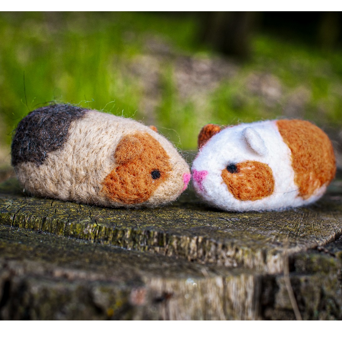 Neulahuovutuspakkaus - Guinea Pigs