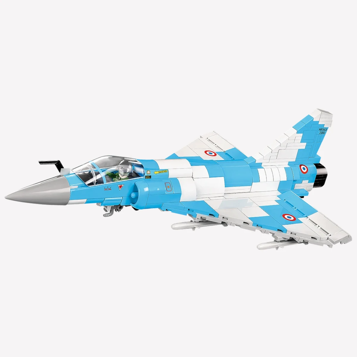 Dassault Mirage 2000-5 1:48