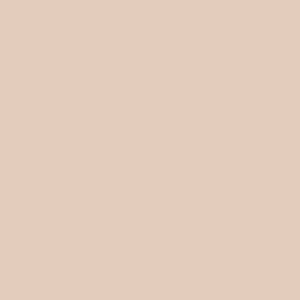Copic Ciao r11