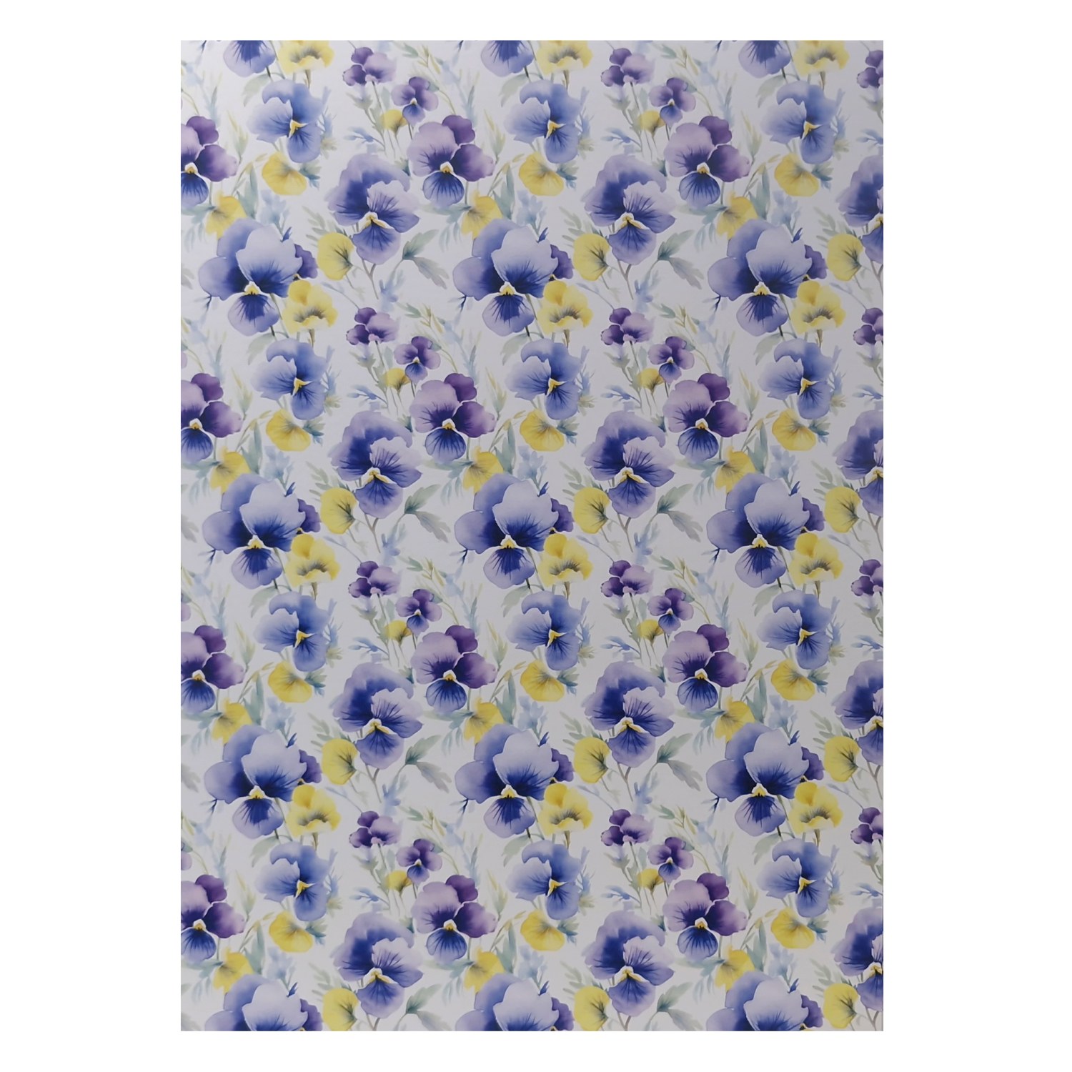 Kuviokartonki A4 5kpl - Orvokit