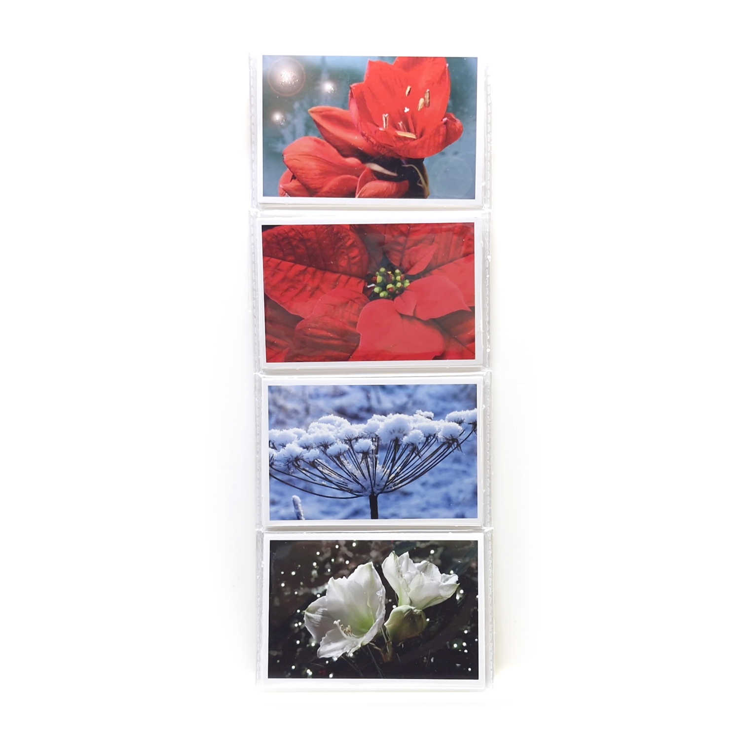 Askartelukuviot - Joulukukat