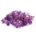 Särmähelmilajitelma n.30g - Violetti