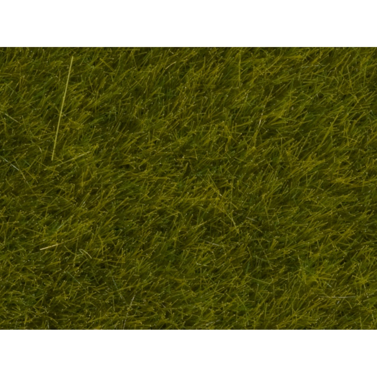 Alternative view of Wildgrass ruohosirote - Niitty