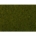 Foliage - Light green