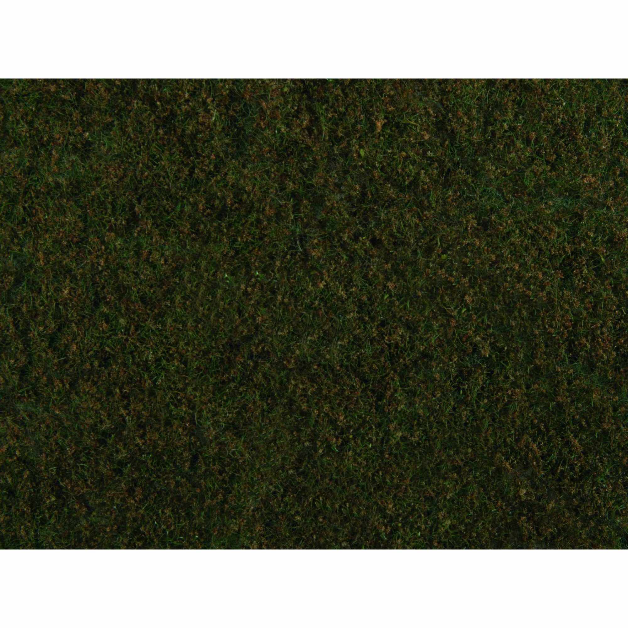 Foliage - Olive Green