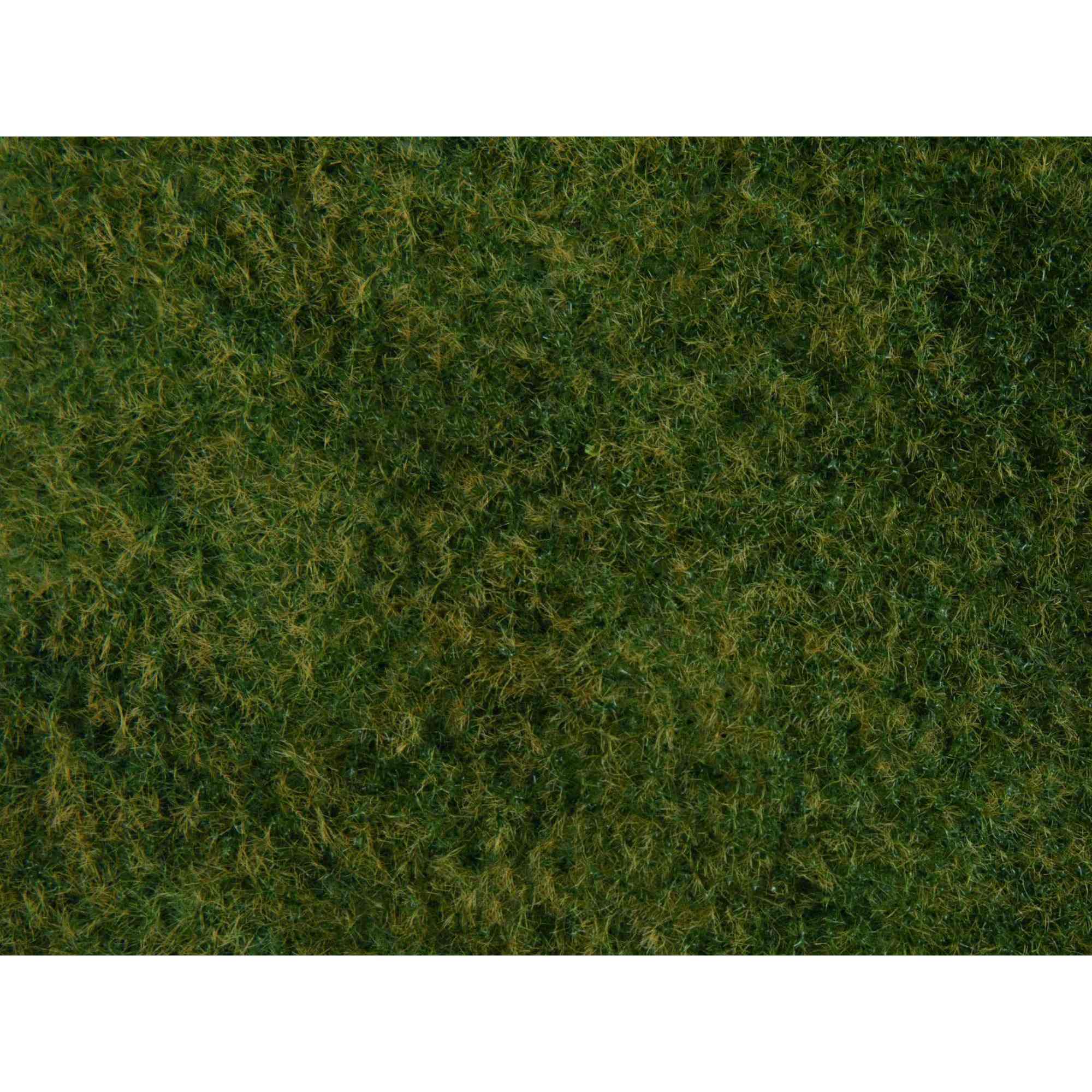 Foliage - Wild grass light green