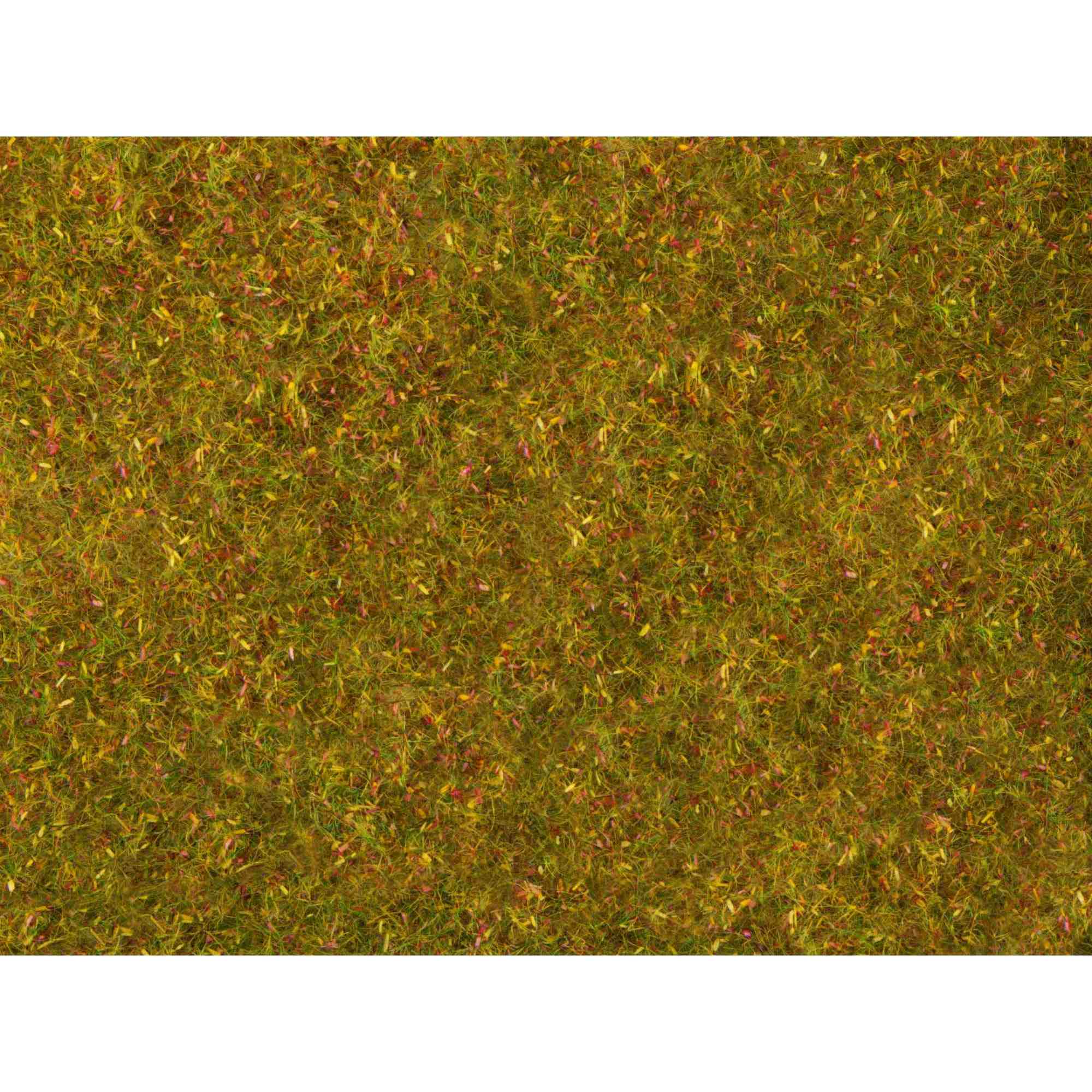 Foliage - Meadow grass yellow green