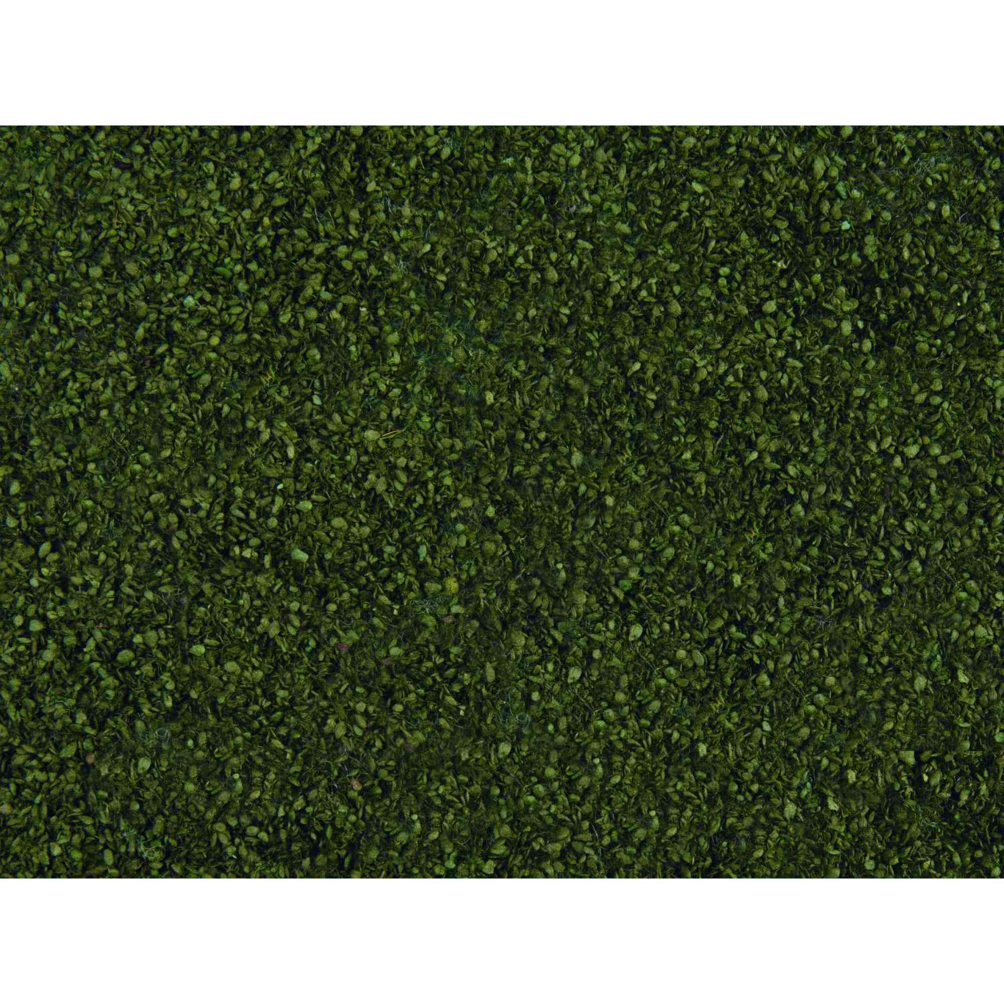 Foliage - Leafy foliage dark green