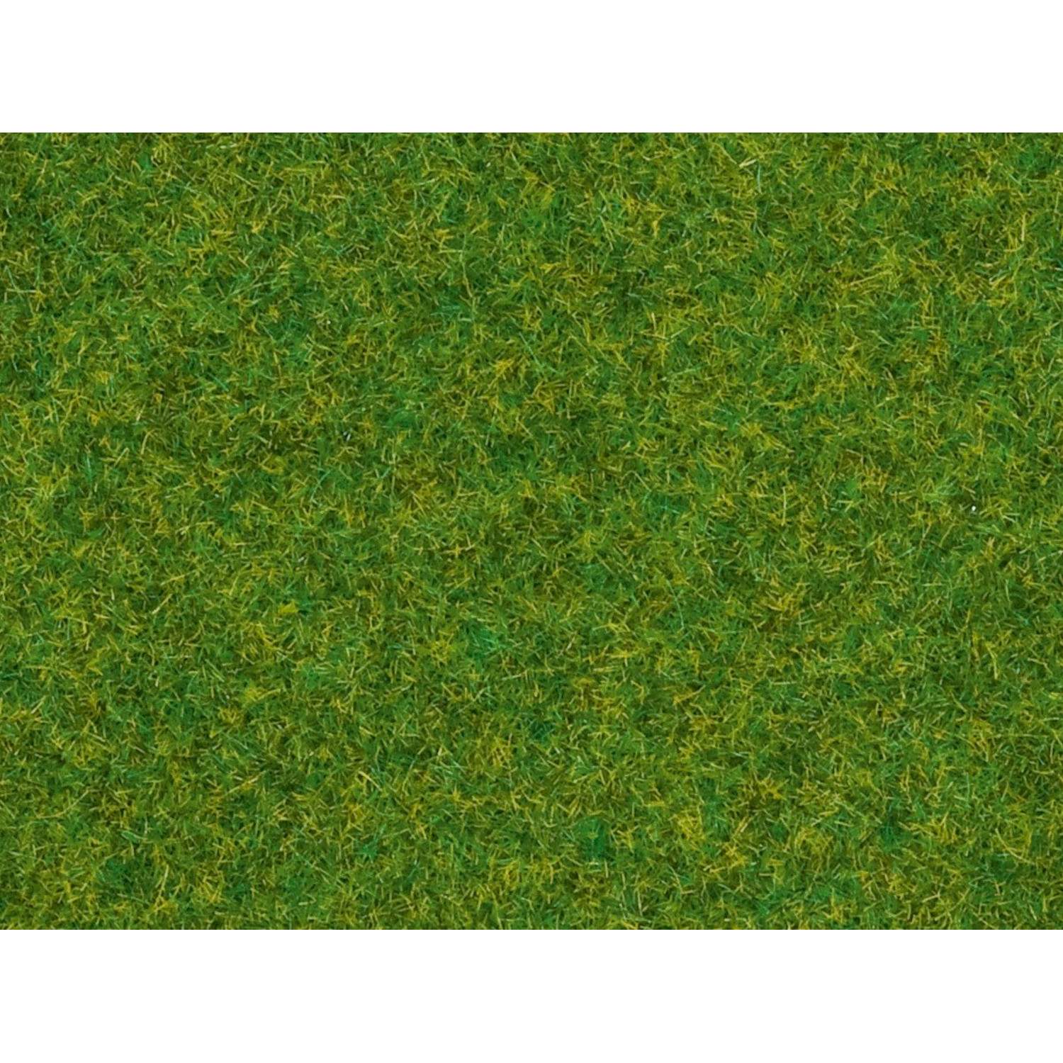 Alternative view of Scatter Grass ruohosirote - Ornamental lawn