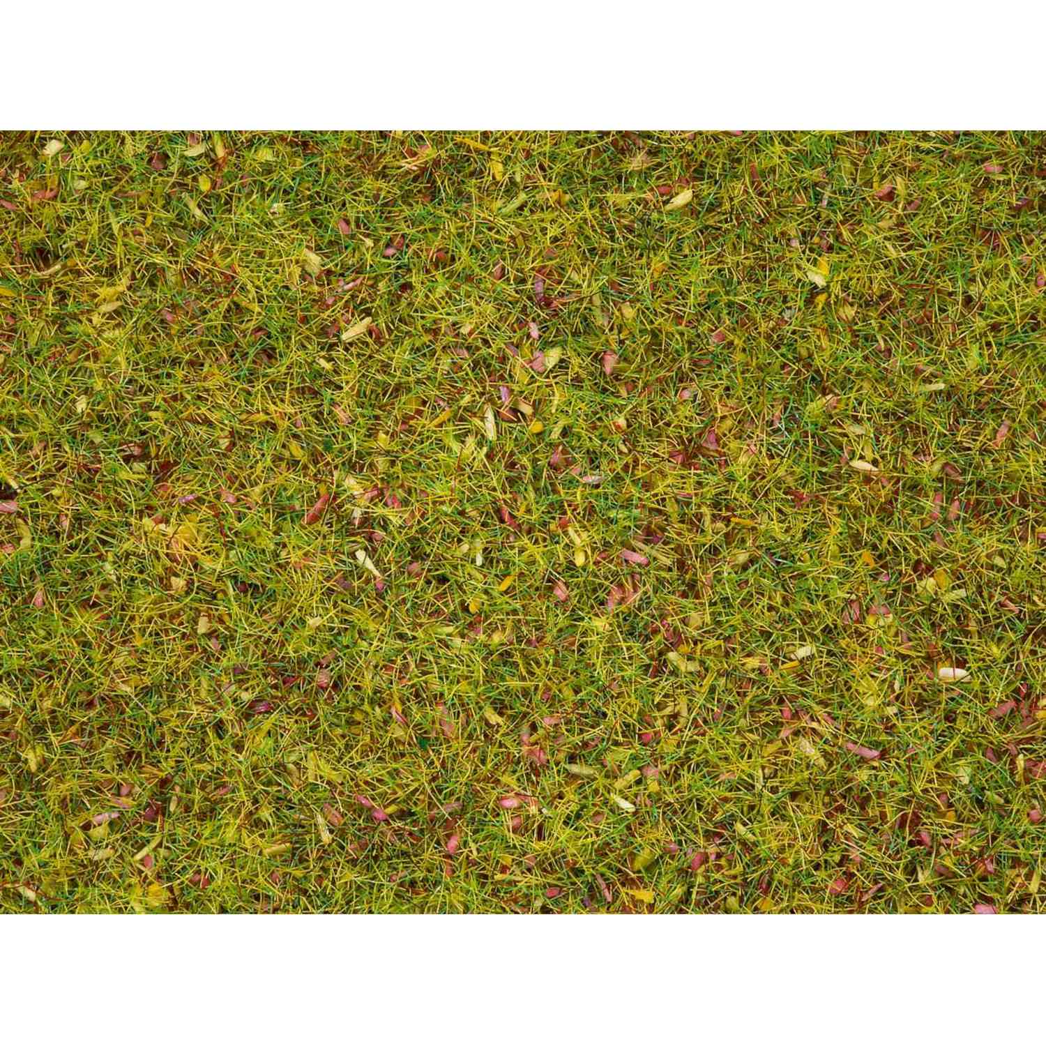 Scatter Grass ruohosirote - Kukkaniitty