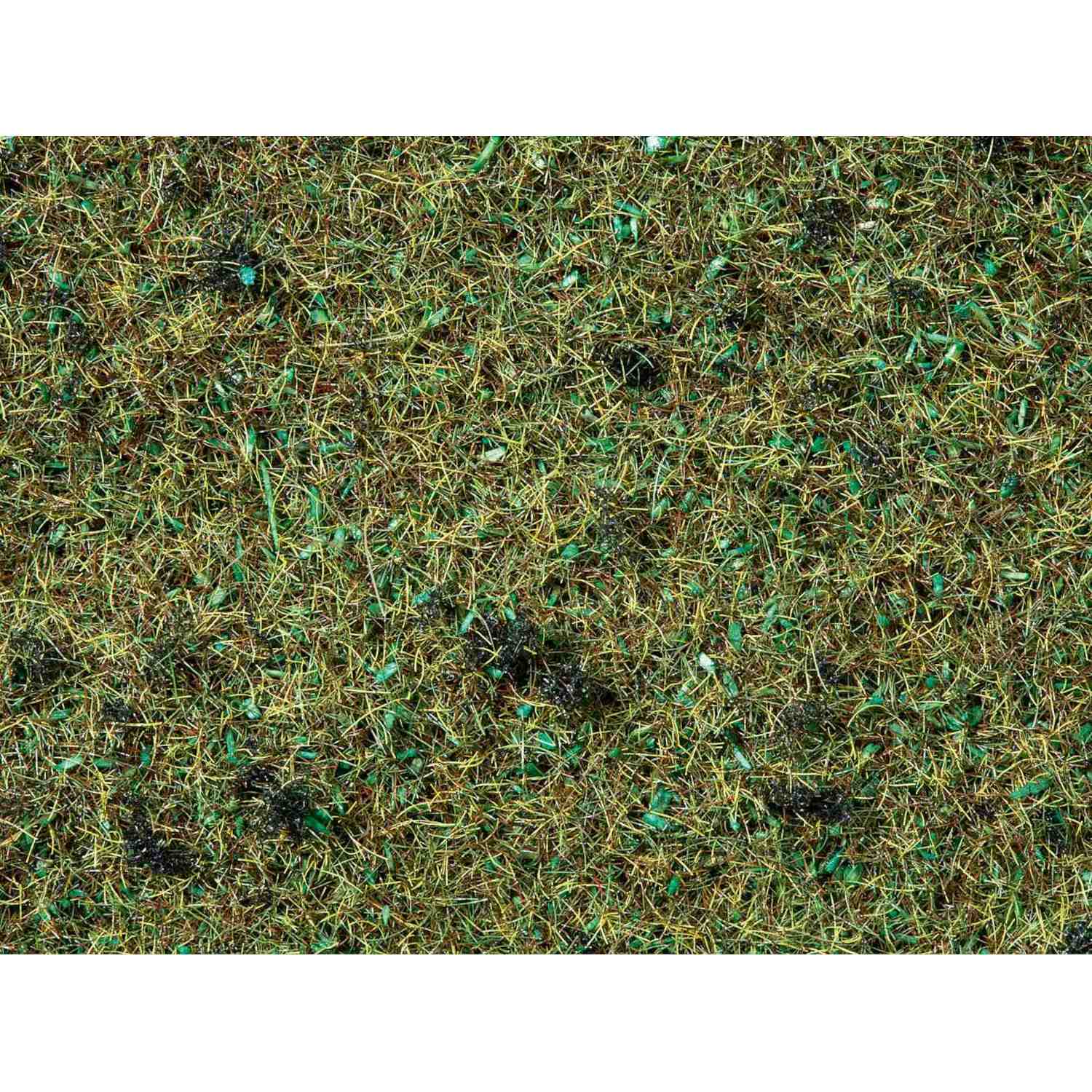 Alternative view of Scatter Grass ruohosirote - Tumma metsän pohja