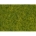Scatter Grass ruohosirote - Vaaleanvihreä
