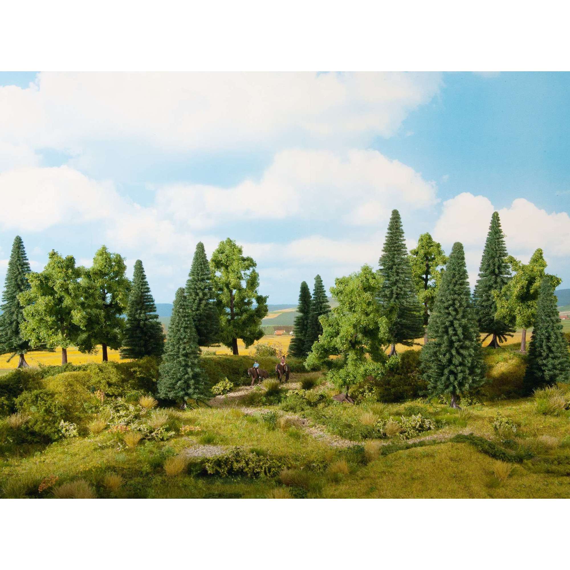 Mixed Forest H0/TT/N/Z