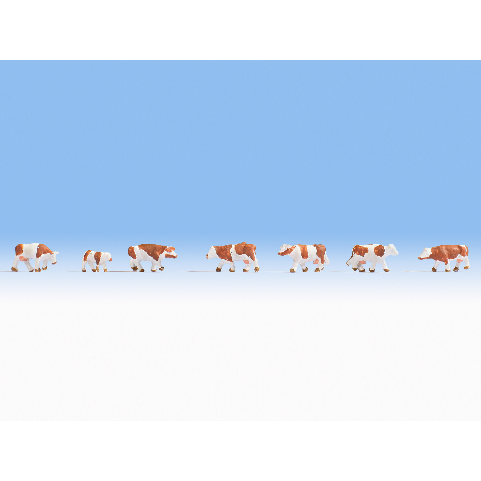 Lehmät - Ruskea/valkoinen