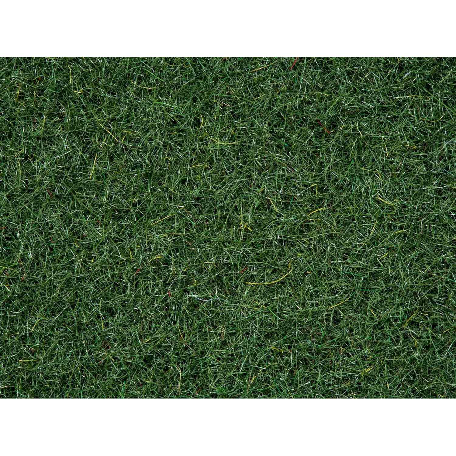 Scatter Grass ruohosirote - Marsh Soil