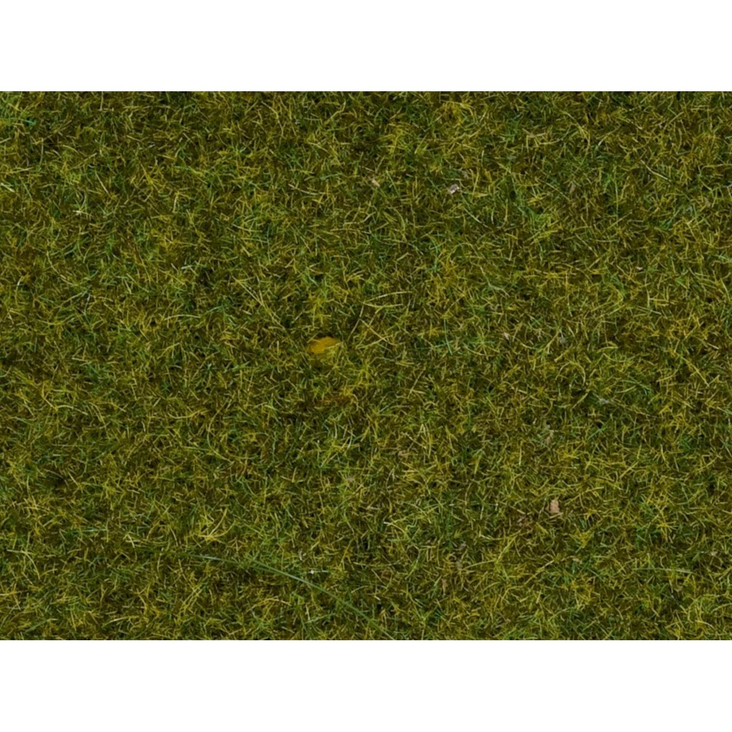 Scatter Grass - Meadow