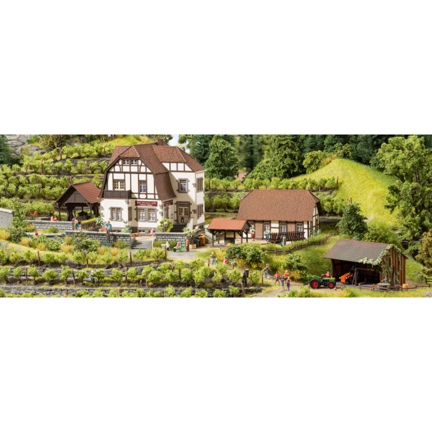 Viinitarha - Image 4