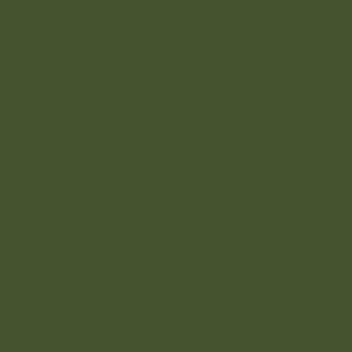 Panpastel - Chrom. Oxide Green Shade