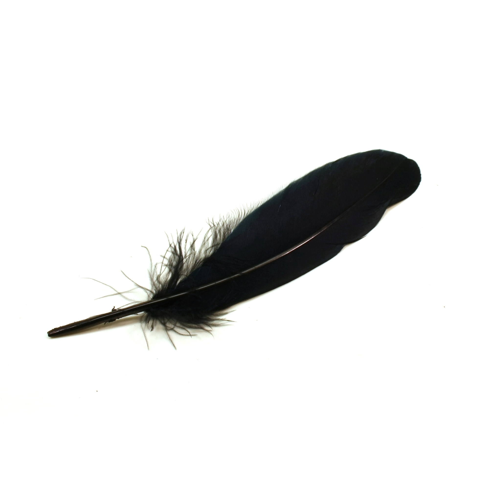 Sulka noin 20cm 10kpl - Musta